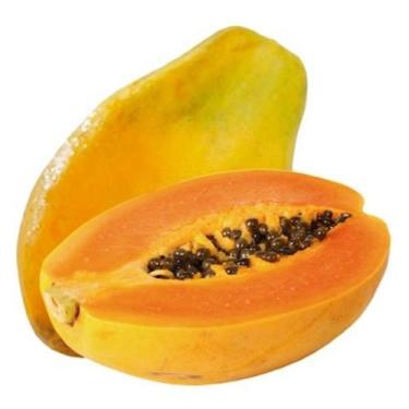Imagem de Muda Mamão Papaya (Carica Papaya) - no-brand