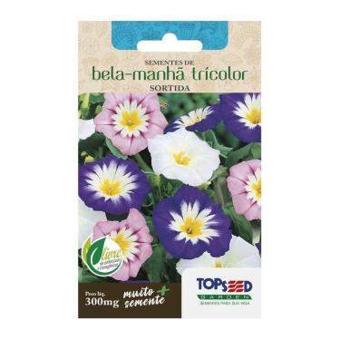 Imagem de SEMENTE FLOR CONVULV/BELA MANHA TOPSEED