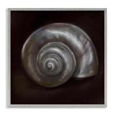 Imagem de Stupell Industries Arte giclée emoldurada Spiral Treasure Of Sea Grey, design de Mary Sparrow, 12 x 12