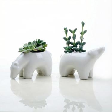 Imagem de SUSOYAOCHEN Lindo vaso de flores de cerâmica de urso branco com drenagem, cacto de aloe, suculenta, mini bonsai, plantador de animais para escritório, casa, jardim, decoração, plantas não incluídas