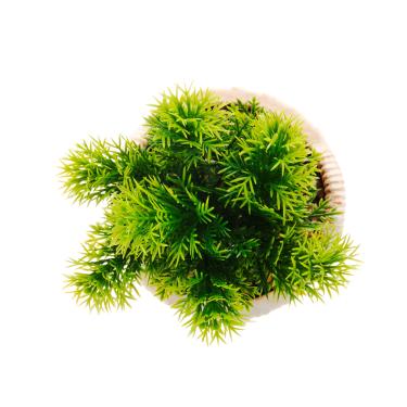 Imagem de Cachepot Wolff Suculenta Palha 19cm x 10cm Cerâmica