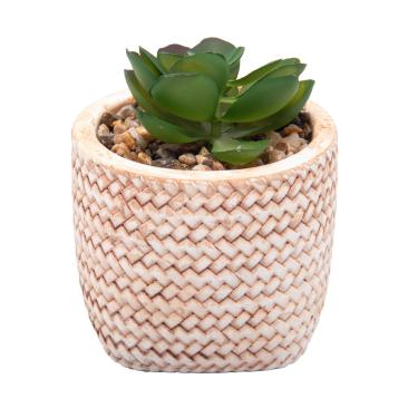 Imagem de Cachepot Wolff 61606 Trançado com Suculenta 9,5cm Cerâmica Natural