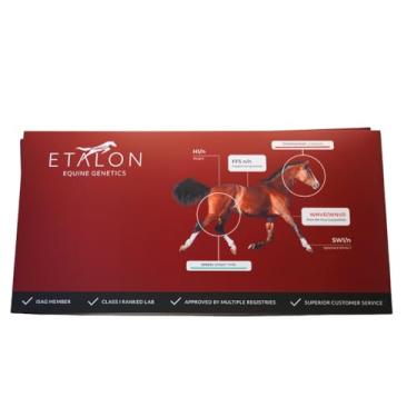 Imagem de Etalon Equine Genetics ProPanel Horse DNA Test - Kit de teste genético (mais de 70 características) para identificar DNA equino - Teste de cor e padrões da pelagem, risco de doenças, habilidades e