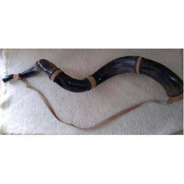 Imagem de Berrante 5 Chifres Boi Profissional Preço Promoçional, Limitada - Sela