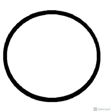 Imagem de O ring Anel de Vedação 151,77mm x 5,33mm PF-22 Dancor Motobomba