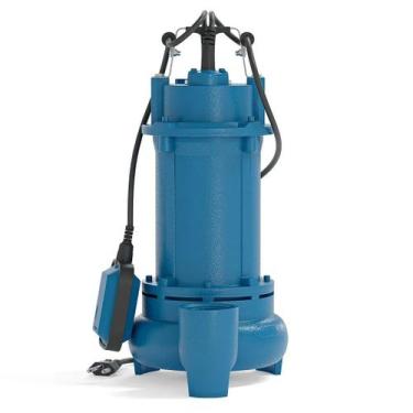 Imagem de Motobomba Submersível para Drenagem e Esgotamento WMSEm-1100H 1,5CV 22