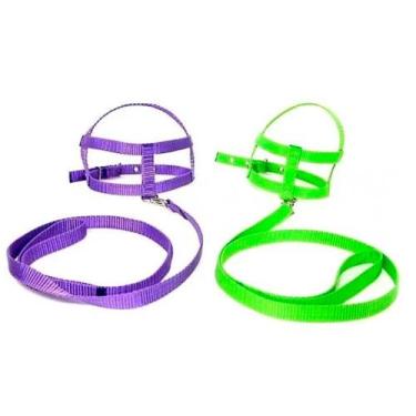 Imagem de Peiteira com Guia de Nylon Seda para Cão Color - Imbicouros, Tamanho: 