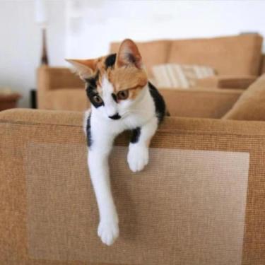 Imagem de Protetor De Sofá Para Gatos Antiarranhões 75 X 50 Cm - darma