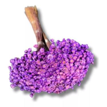 Imagem de Flor Sempre Viva 1.500un Colorido Decoração Lembrancinha - FLORA FULL,