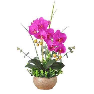 Imagem de DCYEQRQ Flor artificial em vaso Phalaenopsis Conjunto de flores artificiais, decoração de flores falsas para interior de plástico, vasos de flores, arranjos de plantas artificiais (rosa vermelha)