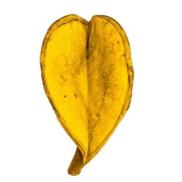 Imagem de Fava Oxum Coração  Amor  Fertilidade  Prosperidade - Estrela Magia