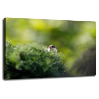 Imagem de 6 Nature Wall Art Spring Canvas Prints Pôster de pássaro para casa conjunto de 1 decorações com moldura 61.0 cm x 40.6 cm