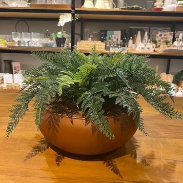 Imagem de Arranjo Completo de Samambaia Centro de Mesa Grande Vaso Cobre