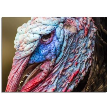 Imagem de 093 Turkey Wall Art Animal Canvas Prints Wildlife Pôster colorido para casa conjunto de 1 decorações não ramificadas 25,4 x 20,3 cm