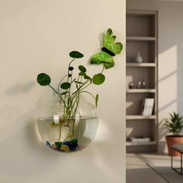 Imagem de Vaso de Vidro Pendurado Transparente Recipiente Decorativo Elegante para Plantas Flores e Home Decoração