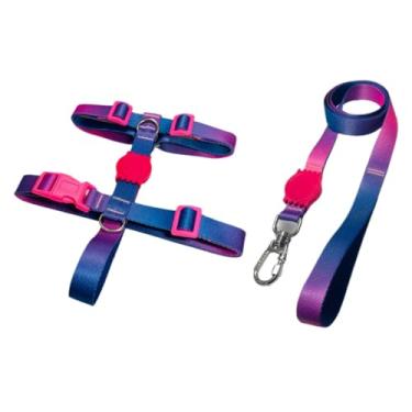 Imagem de Coleira Peitoral H Anti Puxão e Guia 1,10m para Cachorro Varias Estampas(Roxo,P)