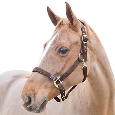 Imagem de Halter de nylon premium Horze Crescendo Holbrook, Dark Brown, F