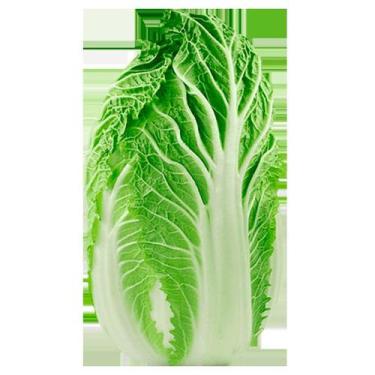 Imagem de Semente Hortaliça/Verdura/Especiaria monte seu kit personalizado - Alp