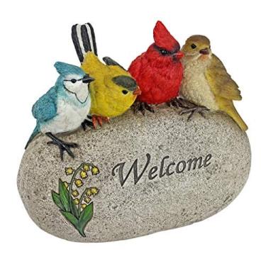 Imagem de Design Toscano QM7512040 Birdy Welcome Garden Stone Statue, Medium, Full Color Finish