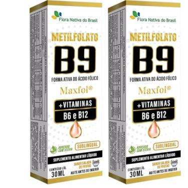 Imagem de KIT 2X Metilfolato Maxfol (Vitaminas B9,B6,B12) 30ml - Flora Nativa (30ml, Salada de Frutas)