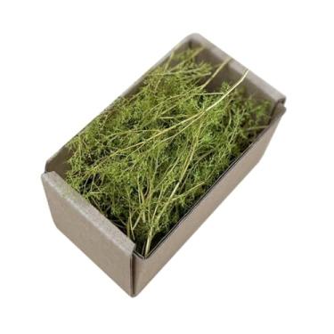 Imagem de Generic Paisagismo de grama em miniatura realista, modelo de tufo espesso, jardim de fadas, terreno para trens ferroviários, dioramas, jardim de fadas, Primavera verde