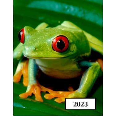 Imagem de 2023: Agenda semainier au format A4 - Année civile (Janvier à Décembre 2023) - Intervalles d'1h (7h-22h) - Contacts, jours fériés, mots de passe, ... - Une semaine sur deux pages