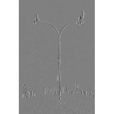 Imagem de Notebook: Silver cover Notebook l Lined l Paperback l 6x9" l 120 pages