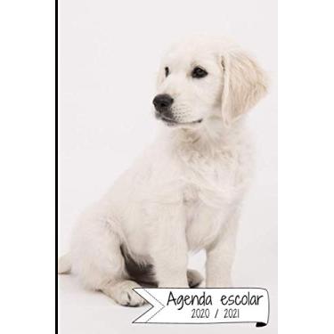 Imagem de AGENDA ESCOLAR 2020-2021: Agenda semana vista (Septiembre 2020 / Agosto 2021) | Planificador semanal (Español) | Calendario | Colegio, secundaria, estudiante | Tapa blanda Perrito