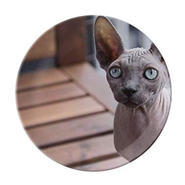 Imagem de Animal Orelha Grande Gato Fotografia Prato Decorativo De Porcelana Salver Prato De Jantar