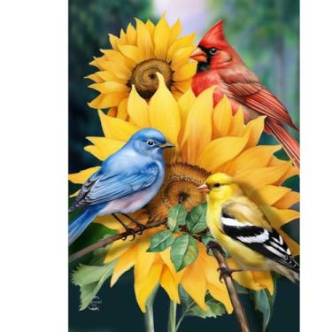 Imagem de Briarwood Lane Pássaros no jardim bandeira da casa