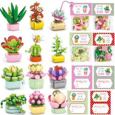Imagem de Qinline Valentines Gifts for Kids 6-12, 24 Pack Succulents Plants Building Blocks with Gift Cards for School, Bulk Boy Girl Class Valentines Party Favors Exchange Gift Goodie Bag Basket Stuffers
