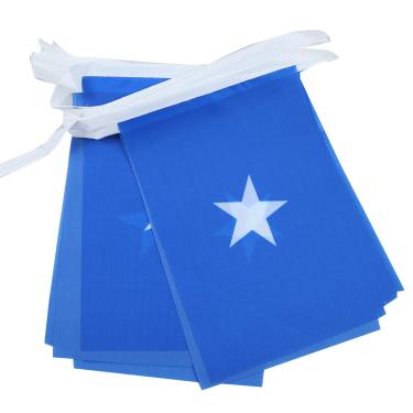 Imagem de AZ FLAG Somália 6 metros BUNTING Bandeira 20 bandeiras 9'' x 6'' - Bandeiras de corda somali 15 x 21 cm