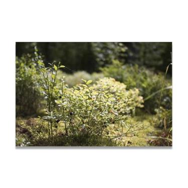 Imagem de LKXGRRSFG Impressão em tela de paisagem de verão de vitalidade tenaz – Impressão HD realista de cenário de verão para arte de parede doméstica 15 x 59 cm