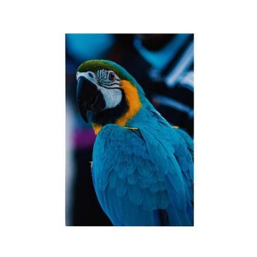 Imagem de Quadro Decorativo Canvas Arara Azul Amarelo Ave Colorido - Deliquadros
