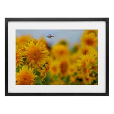 Imagem de Stupell Industries Impressão emoldurada de beija-flor feliz e girassóis preto sob vidro design por Carrie Ann Grippo-Pike, 43 x 58