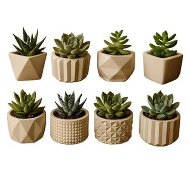 Imagem de Kit de 8 Vasinhos Decorativos de Gesso - Ideal para Cactos e Plantas Artificiais, para Mesa/Estante/Sala, Design Delicado(KIT 8 VASINHOS)
