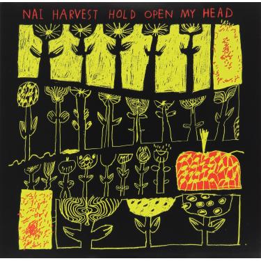 Imagem de Hold Open My Head [Disco de Vinil]
