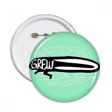 Imagem de Broche redondo natural com contorno de animais de inseto preto e emblema, acessório para decoração, 5 peças