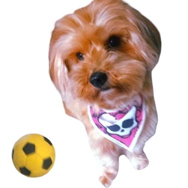 Imagem de Bola Maciça Furacão Pet Futebol Rosa 55Mm
