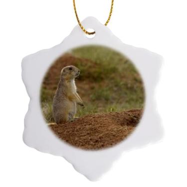 Imagem de 3dRose Black Tail Prairie Dogs, Devils Tower Nm, Wyoming Us51 Pox0008 Ornamento de floco de neve Pete Oxford, 7,6 cm