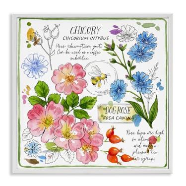 Imagem de Stupell Industries Varied Herbs Benefits Framed Giclee Wall Art Design de Jane Maday, moldura branca, 61 x 61 cm