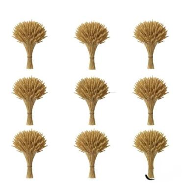 Imagem de Enfeites Para Festa Junina - 400 Hastes De Trigo Seco Natural Para DecoraçãO De Mesa, Arranjo RúStico Elegante Para Arraiá (09 Maços (360 Hastes))