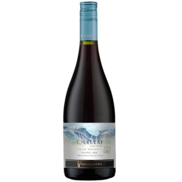 Imagem de VINHO VENTISQUERO QUEULAT GRAN RESERVA PINOT NOIR TTO 750ML
