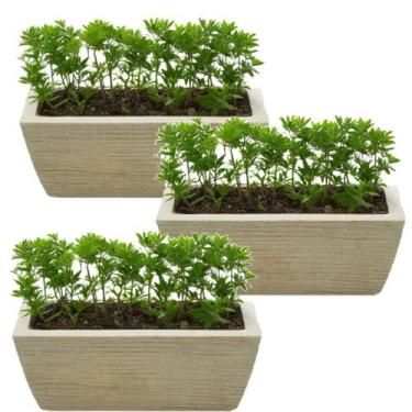 Imagem de Kit  3 Jardineira Luxo Floreira de chão Horta em casa modelo jateado 4