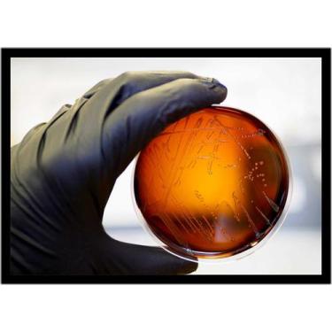 Imagem de Quadro Decorativo Medicina Placa De Petri Consultórios Laboratórios Bi