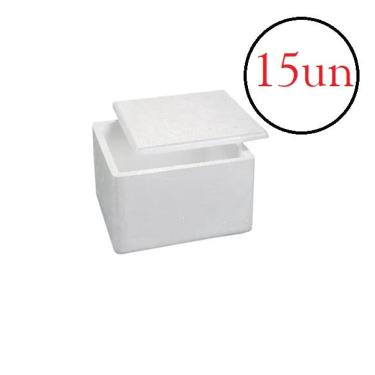 Imagem de Caixa Isopor Térmica 1kg Gelo Alimento Medicamento- Kit 15un