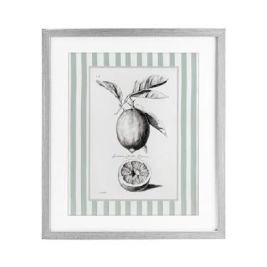 Imagem de Stupell Industries Impressão emoldurada cinza com borda listrada de limão vintage sob vidro por Lettered and Lined, 40,6 x 33,5 cm