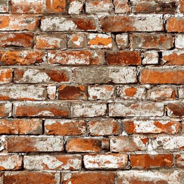 Imagem de Papel de Parede Essencial Tijolo Branco e Laranja ESS1064