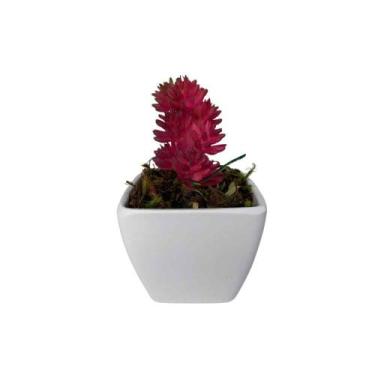 Imagem de Mini Suculenta Artificial Vaso de Plástico Branco - Multshop, Roxa