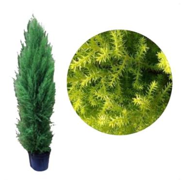 Imagem de Arvore De Natal Pinheiro Tuia Holandesa Decoração Natalina